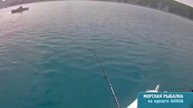 Как ловят ставридку на пустые крючки в Анапе на Черном море