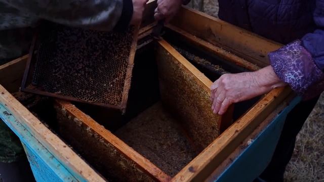 С ТАКОЙ ПОГОДОЙ МОЖНО ОСТАТЬСЯ БЕЗ МЁДА _ ГОТОВИМ ДЕРЕВЕНСКИЕ БУЛОЧКИ С МЯСОМ