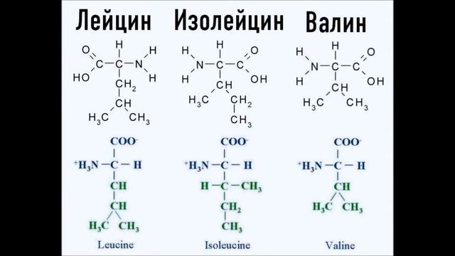Выпуск №1 - ТОП 5 Добавок для выносливости