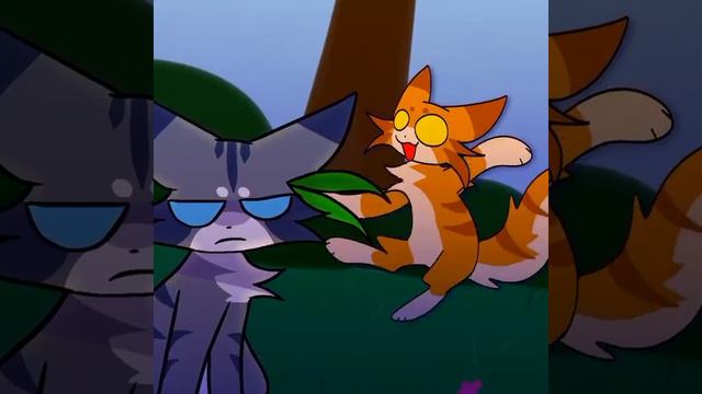 VID_20240907_165759_931.mp4
