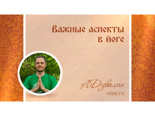 Важные аспекты в йоге. Александр Дувалин