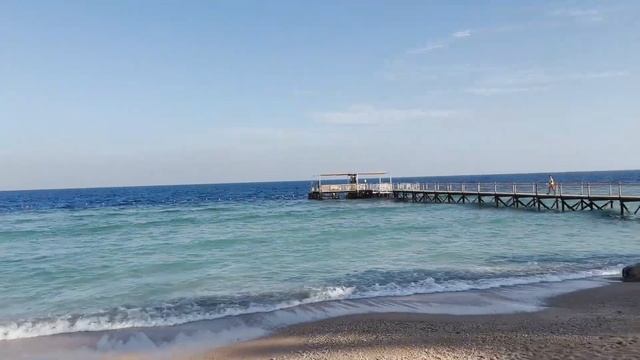 Ультра шикарный SUNRISE Montemare Resort 5* Шарм-эль-Шейх Египет Grand Select ХАДАБА 2024