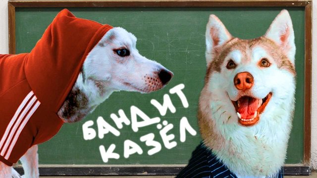 БУЛЛИНГ В СОБАЧЬЕЙ ШКОЛЕ!! Когда тебя обижают одноклассники! (Хаски Бублик) Говорящая собака