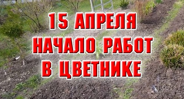 15 апреля. Начала работы в цветнике