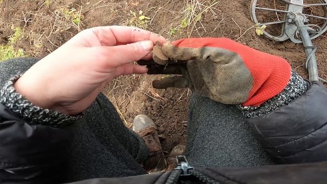 Шурфим хабарный овраг! Находки не кончаются!.
