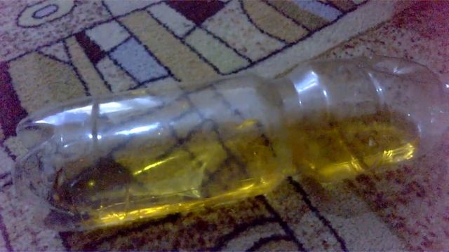 Ловушка для мышей из пластиковой бутылки