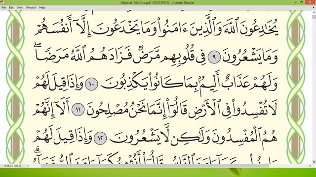 Шейх Айман Сувейд сура Бакара стр 3