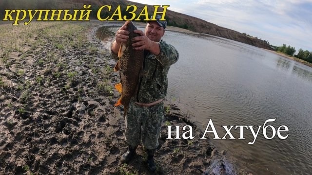 Ловля САЗАНА на Ахтубе.Много крупного КАРАСЯ на донку.