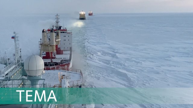Курс на север. Как развивается Северный морской путь