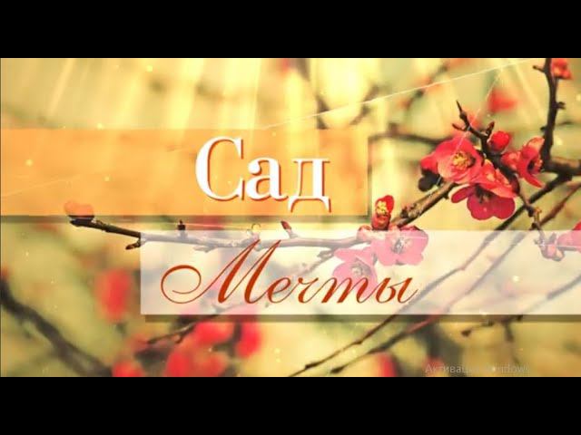 Сад мечты. Выпуск 26