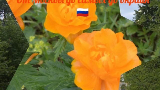Россия-моими глазами.