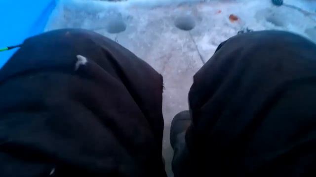 Рыбалка в Приморском крае, навага клюет на железо..