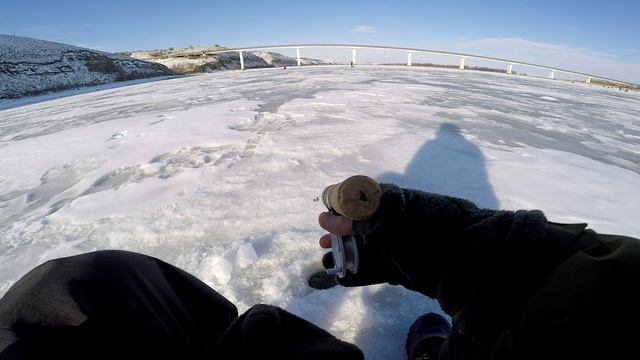 Зимняя Рыбалка на Судака в Калаче на Дону,ловля на балансиры.Выходной день