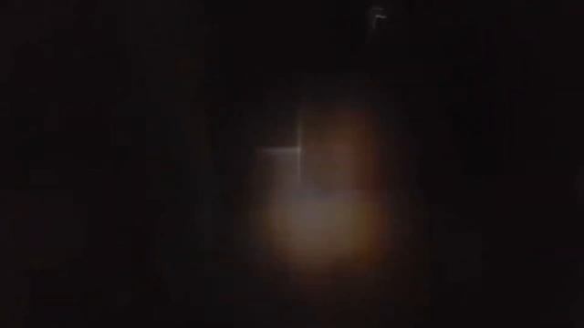 ТОП 10 Долговязая Лошадь Снятая на Камеру