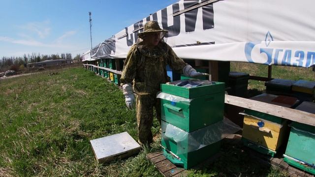 Установка вторых корпусов на ульи. Подготовка пчелосемей к делению на отводки начинающему пчеловоду