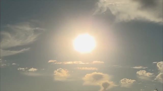 Какая самая большая звезда во Вселенной? Сравнения размеров звёзд