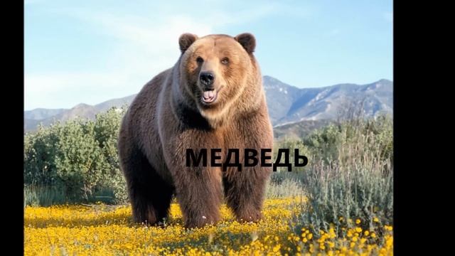 100 слов для детей 1-3 лет