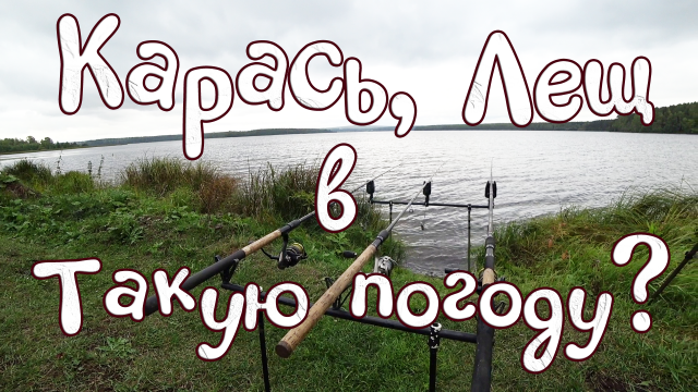 ОН ПОЖАЛЕЕТ ЧТО НЕ ОСТАЛСЯ В НОЧЬ! КАРАСИ ЗАБАБАХИ, РЫБАЛКА СО СТАРШИМ, ШУЛЮМ НА КОСТРЕ, УХА НА УТРО