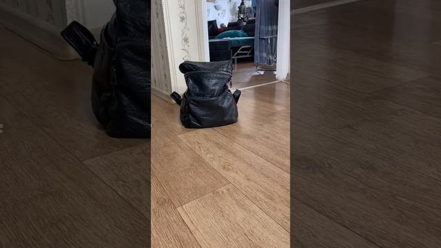 Света и говорящий рюкзак. Проклятая кукла и  Старухино колдовство. Страшилки от AmyMyr