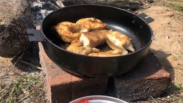 Рыбалка на реке Шексне. В поисках судака.