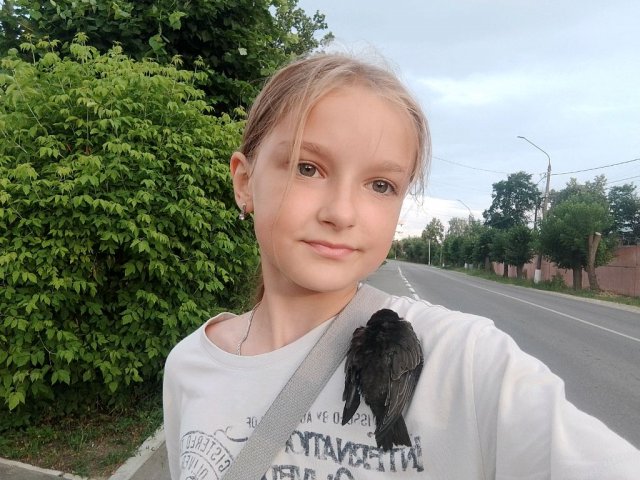 иду с Галчонок в магазин