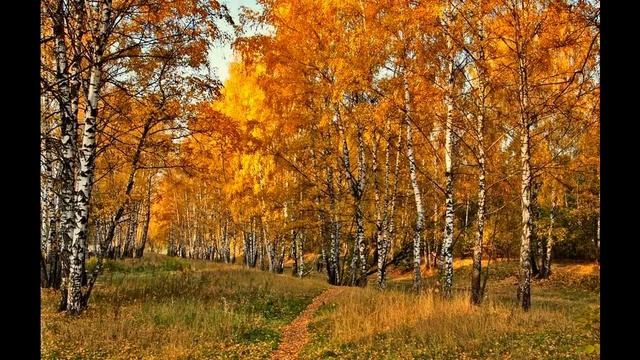 Бегут года. Demis Roussos