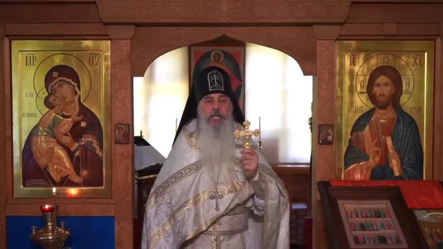 Куда делась совесть_