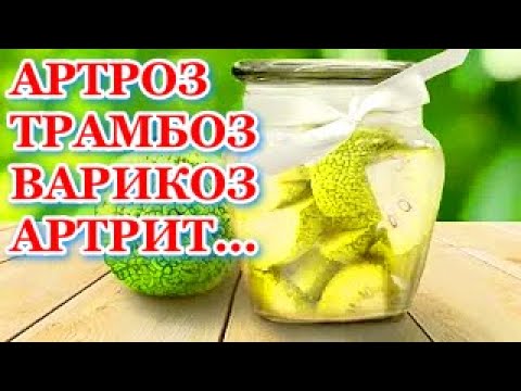 Простая Настойка! От Радикулита Артрита Остеохондроза Артроза Адамово яблоко. Маклюра!