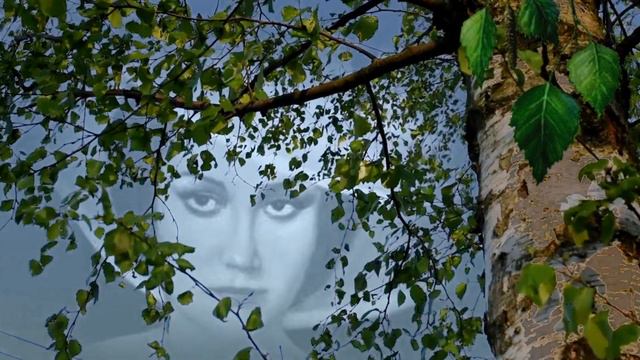 МАГОМАЕВ Муслим - Шум берёз