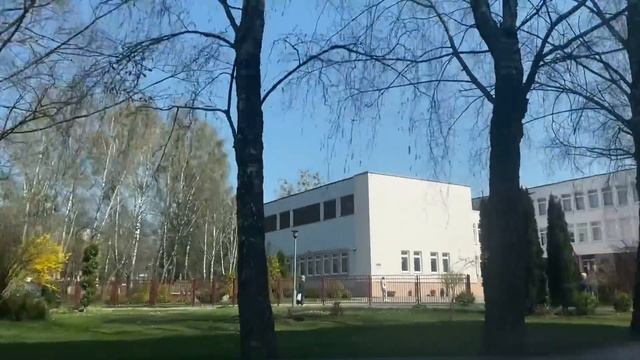 РАБОЧИЙ ДЕНЬ УЧИТЕЛЯ НАЧАЛЬНЫХ КЛАССОВ | это влоооог!