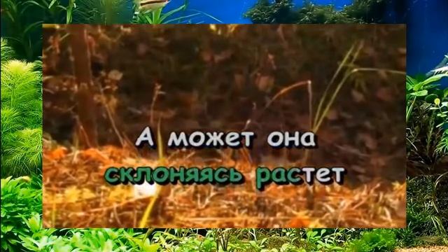 Детская песня Караоке С чего начинается Родина