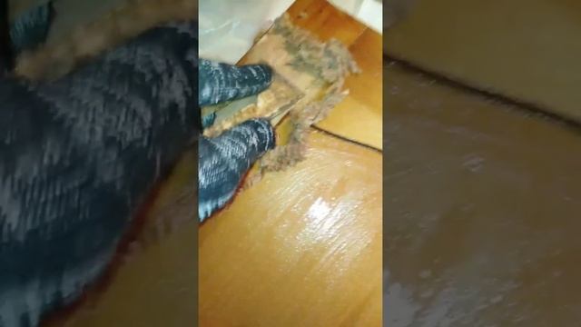 Реставрация старой мебели.Смывка старого ЛКП.