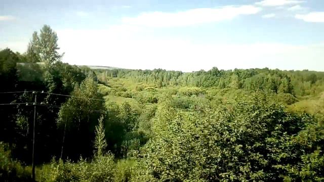 Поезд Барнаул Москва  Вид из окна вагона, Татарстан.