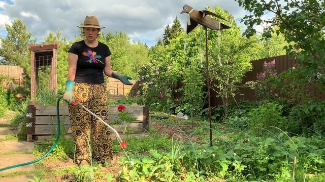 Лучшее удобрение для сада и огорода своими руками