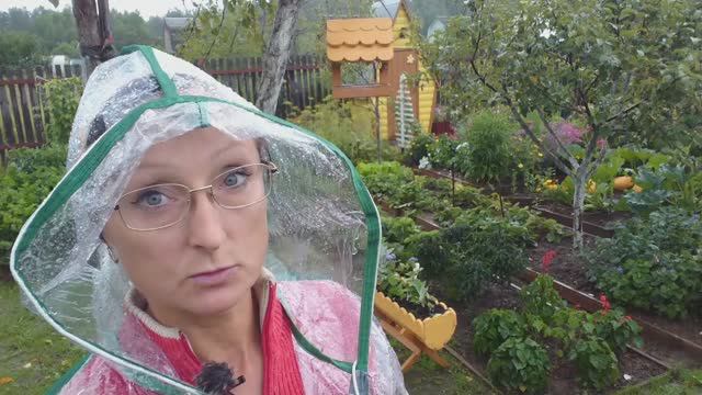 Видео привет с 6 соток 30 июля 2024 года