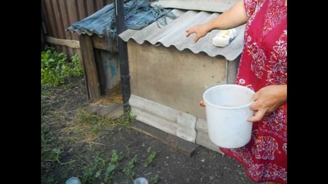 Живем на пенсии в деревне. Наш домик и хозяйство. Дела житейские