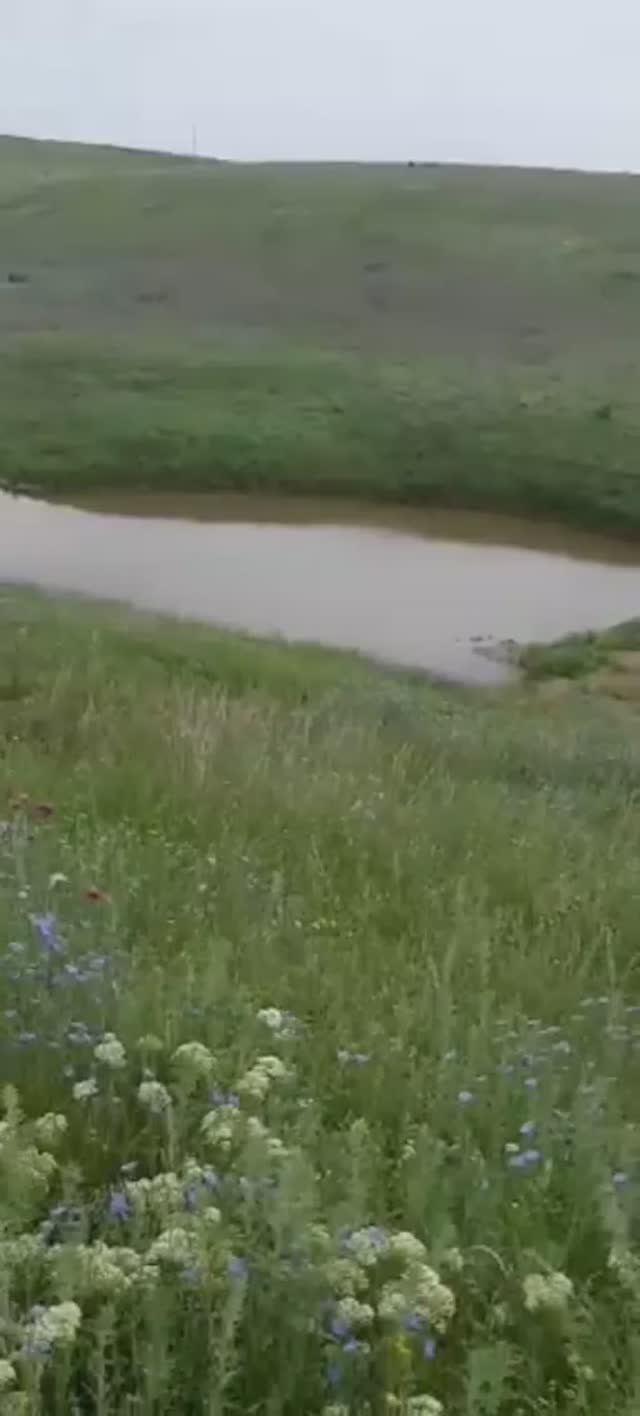 #hummer