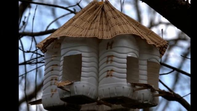 Кормушка из пластиковой бутылки для птиц. Несложные кормушки из ПЭТ бутылок своими руками