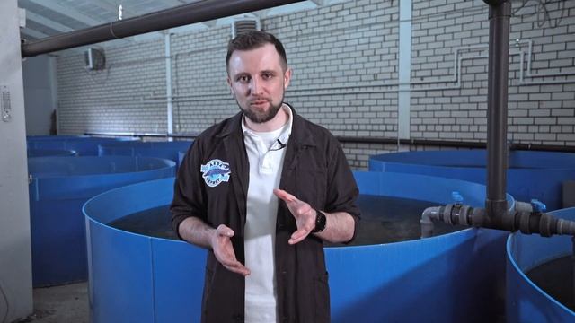 Биологическая ОЧИСТКА ВОДЫ в УЗВ | Типы БИОФИЛЬТРОВ и ИХ ОТЛИЧИЯ | Бизнес на УЗВ