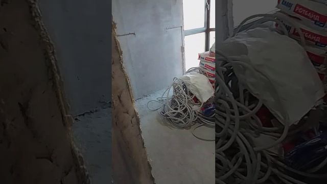 19 июля 2023 г.