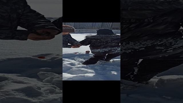 эксперимент