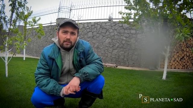 Правильный полив газона