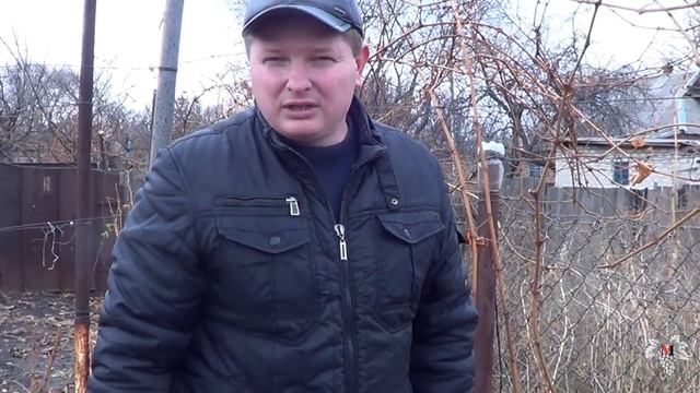 Обрезка технических сортов винограда