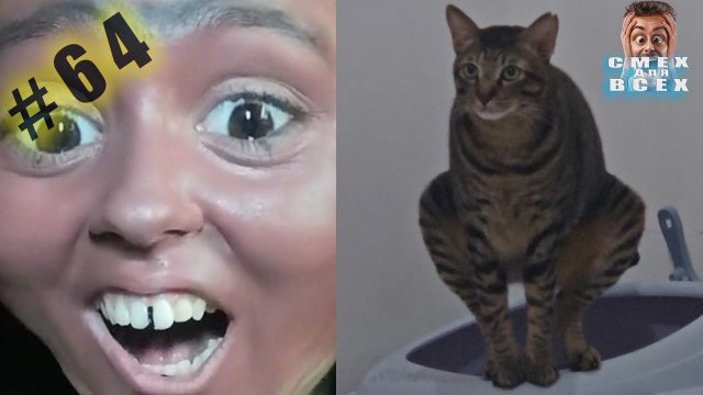 ПРИКОЛЫ 2024 смешные ВИДЕО ЧУДИКИ tiktok  Funny videos №64 тест на психику, попробуй не засмеяться