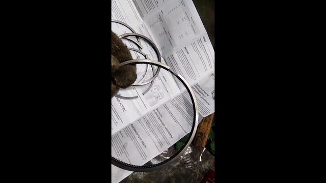 Ремонт двигателя Д-144 как правильно установить компрессионные кольца.
