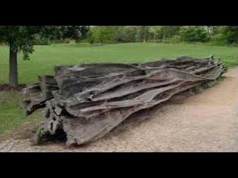 Гигантские кристаллы под Землёй и каменные деревья Аризоны