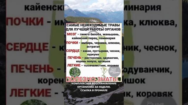 Травы для здоровья!!! ЭТО ЛУЧШИЕ ТРАВЫ, ЧТОБ ВЫ ЗАБЫЛИ И БОЛЕЗНЯХ!!!