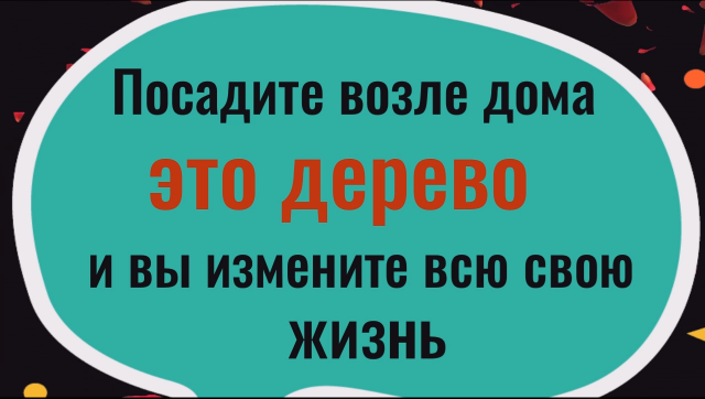 Обязательно посадите это дерево и вы измените всю свою жизнь