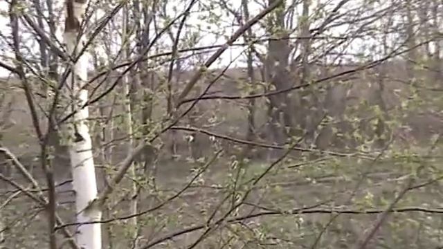 Родная деревня.mp4