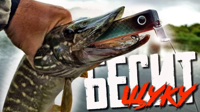 САМЫЙ СТРАННЫЙ ВОБЛЕР в моей КОРОБКЕ!!! Обзор самодельного воблера!